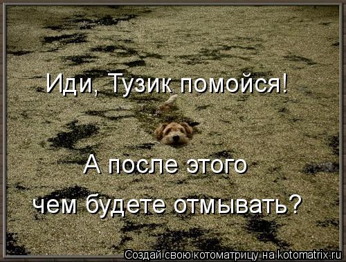 Иди, Тузик помойся! А после этого чем будете отмывать?... Котоматрица: Иди, Тузик помойся! А после этого чем будете отмывать?