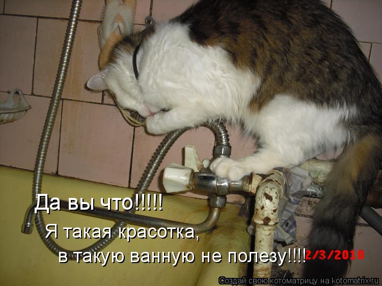Да вы что!!!!! Я такая красотка, в такую ванную не полезу!!!!... Котоматрица: Да вы что!!!!! Я такая красотка, в такую ванную не полезу!!!!