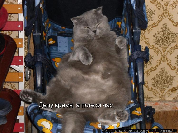 Делу время, а потехи час.... Котоматрица: Делу время, а потехи час.