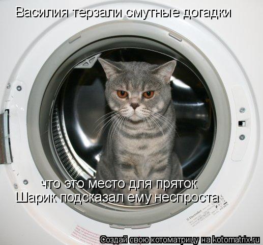 Василия терзали смутные догадки что это место для пряток Шарик подсказал ему неспроста... Котоматрица: Василия терзали смутные догадки что это место для пряток Шарик подсказал ему неспроста