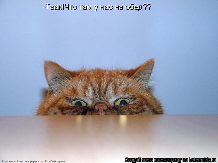 -Таак!Что там у нас на обед??... Котоматрица: -Таак!Что там у нас на обед??