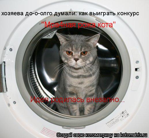 хозяева до-о-олго думали: как выиграть конкурс "Мра4ная рожа кота" Идея родилась внезапно...... Котоматрица: хозяева до-о-олго думали: как выиграть конкурс "Мра4ная рожа кота" Идея родилась внезапно...