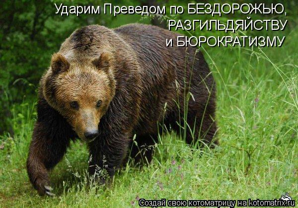 Ударим Преведом по БЕЗДОРОЖЬЮ, РАЗГИЛЬДЯЙСТВУ и БЮРОКРАТИЗМУ... Котоматрица: Ударим Преведом по БЕЗДОРОЖЬЮ, РАЗГИЛЬДЯЙСТВУ и БЮРОКРАТИЗМУ