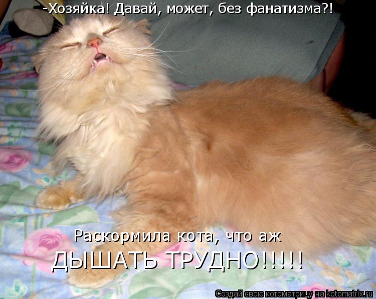 -Хозяйка! Давай, может, без фанатизма?! Раскормила кота, что аж ДЫШАТЬ ТРУДНО!!!!!... Котоматрица: -Хозяйка! Давай, может, без фанатизма?! Раскормила кота, что аж ДЫШАТЬ ТРУДНО!!!!!