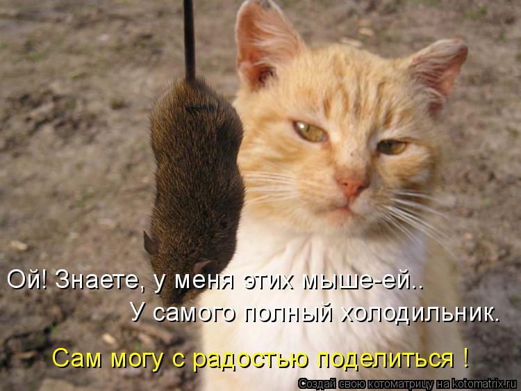 Ой! Знаете, у меня этих мыше-ей.. У самого полный холодильник. Сам могу с радостью поделиться !... Котоматрица: Ой! Знаете, у меня этих мыше-ей.. У самого полный холодильник. Сам могу с радостью поделиться !