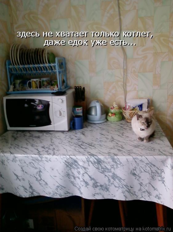 здесь не хватает только котлет, здесь не хватает только котлет, даже едок уже есть...... Котоматрица: здесь не хватает только котлет, здесь не хватает только котлет, даже едок уже есть...
