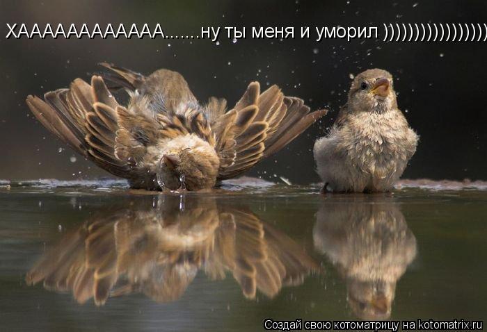 ХАААААААААААА.......ну ты меня и уморил ))))))))))))))))))))))))))... Котоматрица: ХАААААААААААА.......ну ты меня и уморил ))))))))))))))))))))))))))