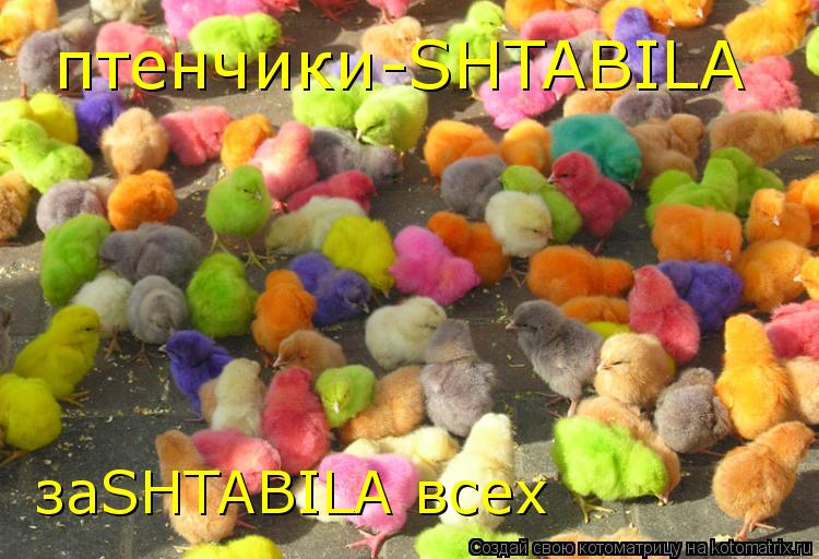 птенчики-SHTABILA заSHTABILA всех... Котоматрица: птенчики-SHTABILA заSHTABILA всех