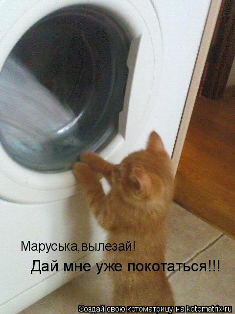 Маруська,вылезай! Дай мне уже покотаться!!!... Котоматрица: Маруська,вылезай! Дай мне уже покотаться!!!