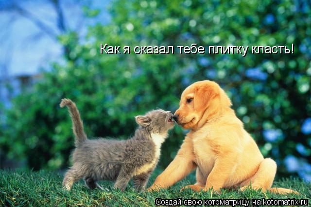 Как я сказал тебе плитку класть!... Котоматрица: Как я сказал тебе плитку класть!