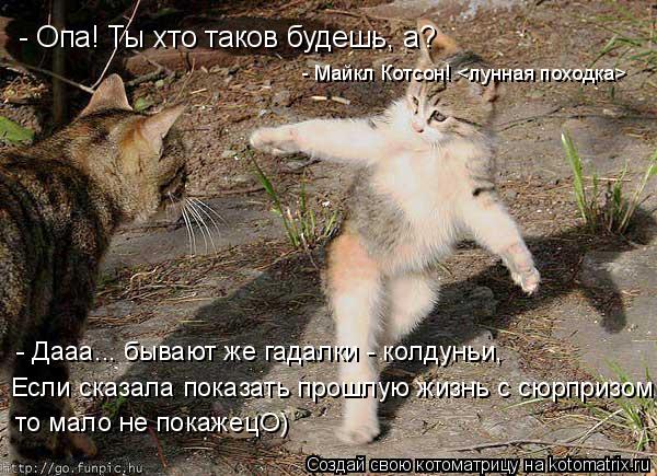 - Опа! Ты хто таков будешь, а? - Майкл Котсон! <лунная походка> - Дааа... бывают же гадалки - колдунь... Котоматрица: - Опа! Ты хто таков будешь, а? - Майкл Котсон! <лунная походка> - Дааа... бывают же гадалки - колдуньи, Если сказала показать прошлую жизнь с сюрпр