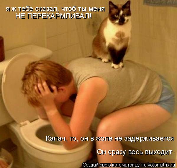 я ж тебе сказал, чтоб ты меня НЕ ПЕРЕКАРМЛИВАЛ! Калач, то, он в жопе не задерживается Он сразу весь в... Котоматрица: я ж тебе сказал, чтоб ты меня НЕ ПЕРЕКАРМЛИВАЛ! Калач, то, он в жопе не задерживается Он сразу весь выходит