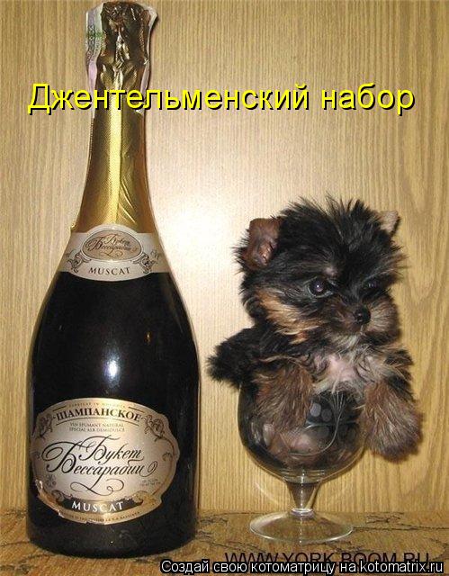 Джентельменский набор... Котоматрица: Джентельменский набор