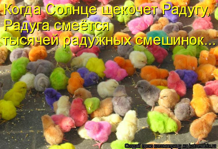Когда Солнце щекочет Радугу, Радуга смеётся тысячей радужных смешинок...... Котоматрица: Когда Солнце щекочет Радугу, Радуга смеётся тысячей радужных смешинок...