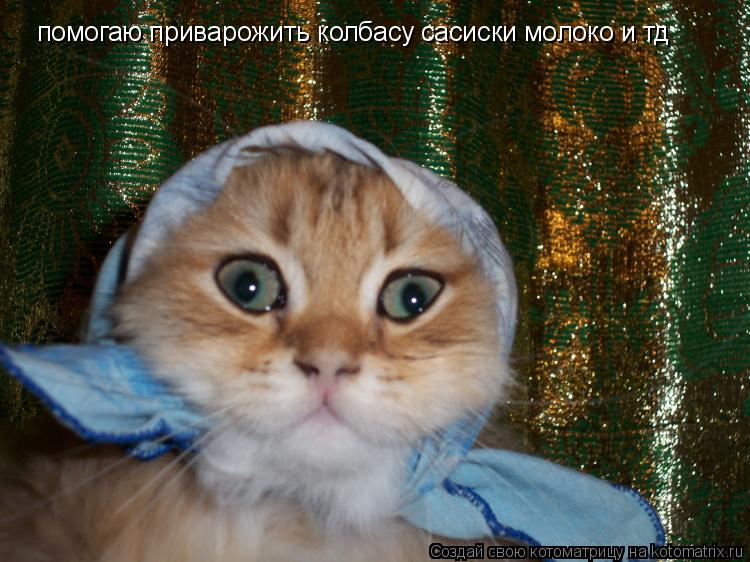 помогаю приварожить колбасу сасиски молоко и тд... Котоматрица: помогаю приварожить колбасу сасиски молоко и тд