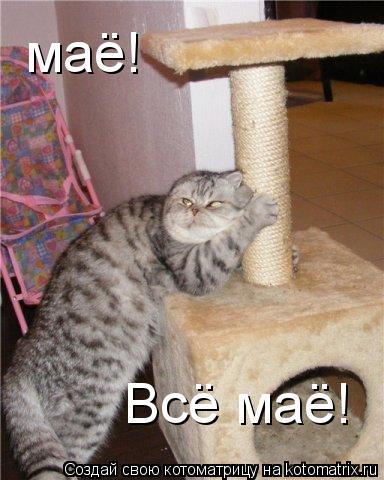 маё! Всё маё!... Котоматрица: маё! Всё маё!
