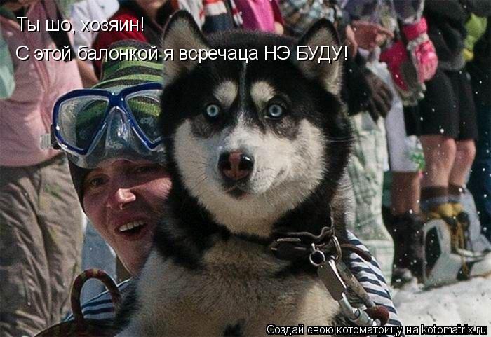 Ты шо, хозяин! С этой балонкой я всречаца НЭ БУДУ!... Котоматрица: Ты шо, хозяин! С этой балонкой я всречаца НЭ БУДУ!