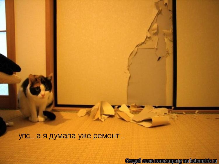 упс...а я думала уже ремонт...... Котоматрица: упс...а я думала уже ремонт...