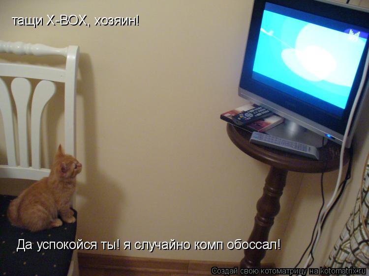 тащи X-BOX, хозяин! Да успокойся ты! я случайно комп обоссал!... Котоматрица: тащи X-BOX, хозяин! Да успокойся ты! я случайно комп обоссал!