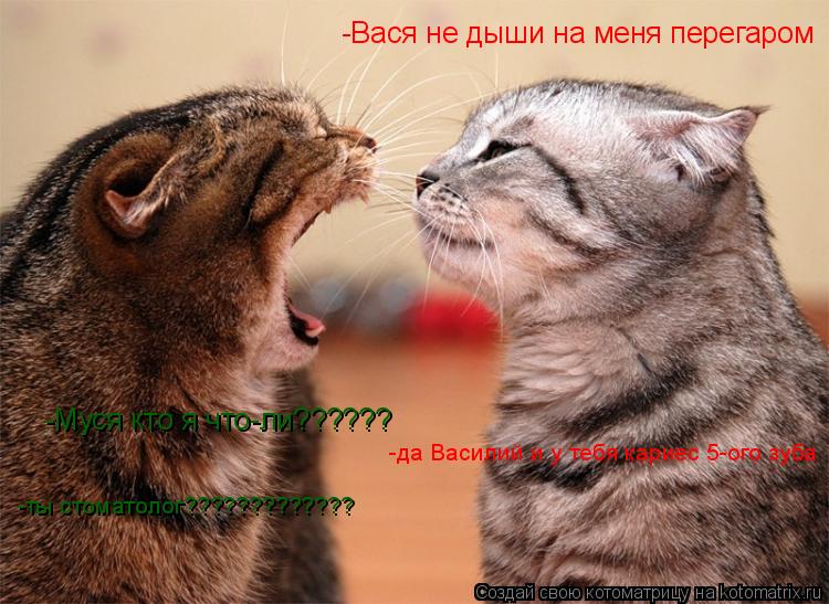 -Вася не дыши на меня перегаром -Муся кто я что-ли?????? -да Василий и у тебя кариес 5-ого зуба -ты с... Котоматрица: -Вася не дыши на меня перегаром -Муся кто я что-ли?????? -да Василий и у тебя кариес 5-ого зуба -ты стоматолог?????????????