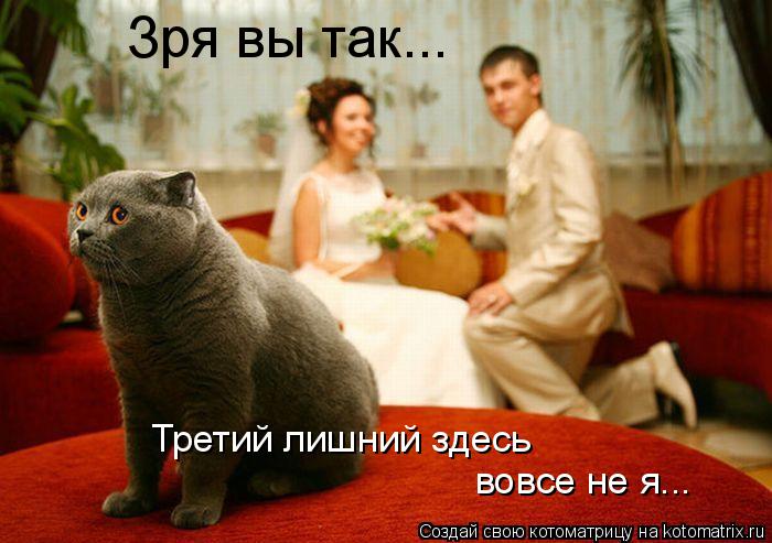 Зря вы так... Третий лишний здесь вовсе не я...... Котоматрица: Зря вы так... Третий лишний здесь вовсе не я...