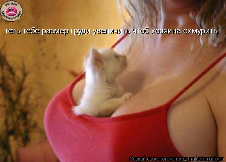 тёть тебе размер груди увеличить чтоб хозяина охмурить... Котоматрица: тёть тебе размер груди увеличить чтоб хозяина охмурить