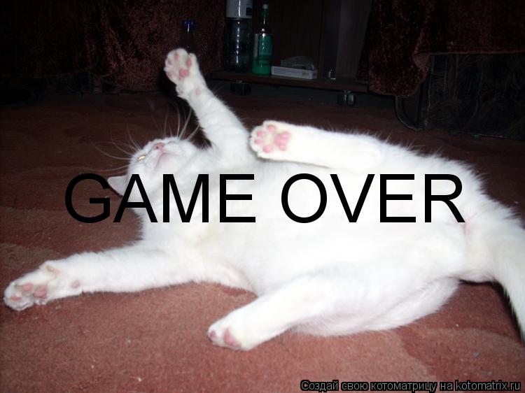 GAME OVER... Котоматрица: GAME OVER