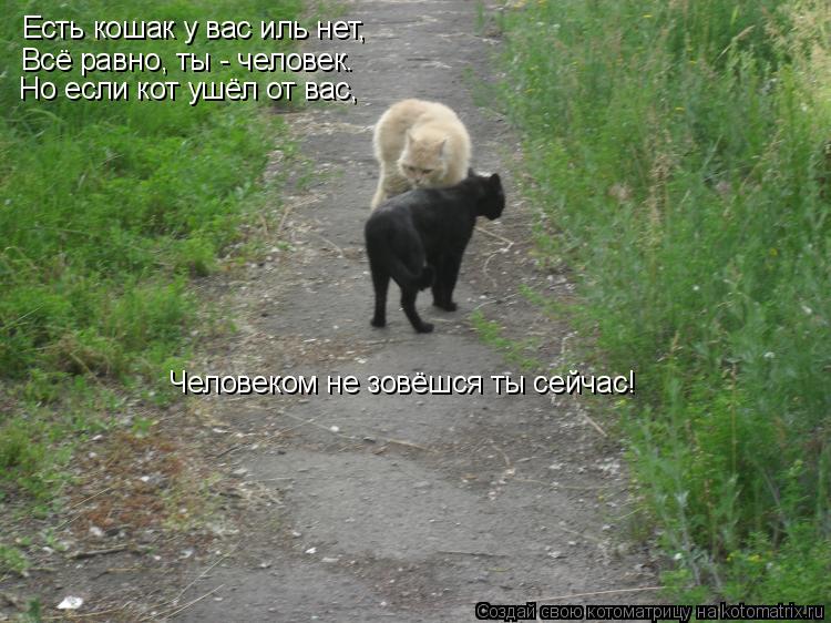 Есть кошак у вас иль нет, Всё равно, ты - человек. Но если кот ушёл от вас, Человеком не зовёшся ты с... Котоматрица: Есть кошак у вас иль нет, Всё равно, ты - человек. Но если кот ушёл от вас, Человеком не зовёшся ты сейчас!