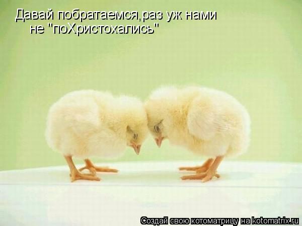 Давай побратаемся,раз уж нами не "поХристохались"... Котоматрица: Давай побратаемся,раз уж нами не "поХристохались"