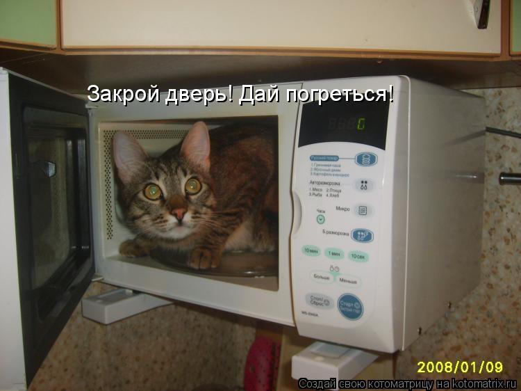 Закрой дверь! Дай погреться!... Котоматрица: Закрой дверь! Дай погреться!