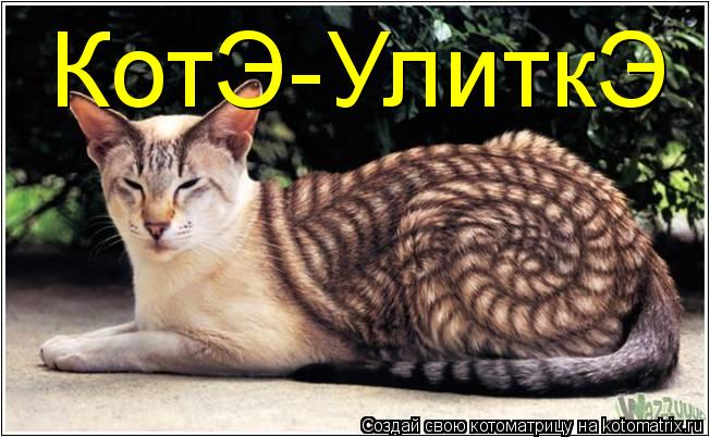 КотЭ-УлиткЭ... Котоматрица: КотЭ-УлиткЭ