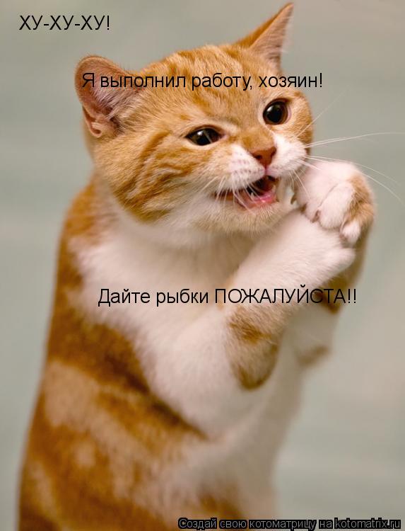 ХУ-ХУ-ХУ! Я выполнил работу, хозяин! Дайте рыбки ПОЖАЛУЙСТА!!... Котоматрица: ХУ-ХУ-ХУ! Я выполнил работу, хозяин! Дайте рыбки ПОЖАЛУЙСТА!!