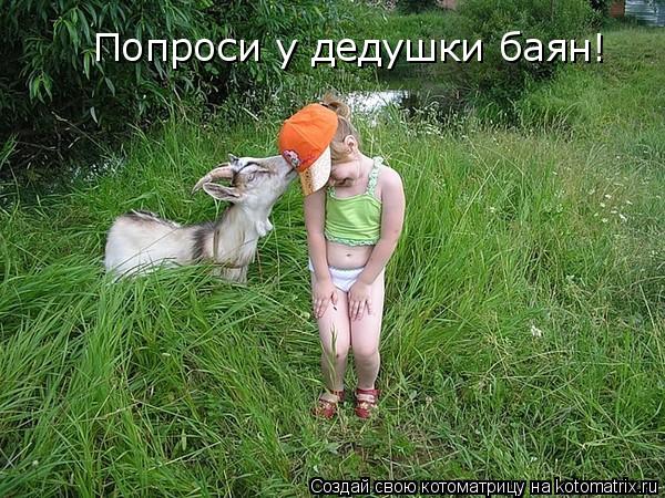 Попроси у дедушки баян!... Котоматрица: Попроси у дедушки баян!