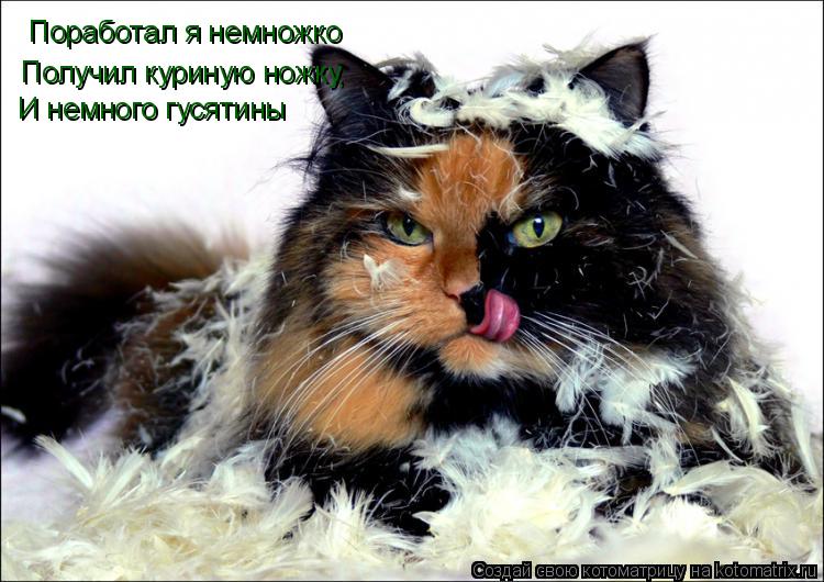 Поработал я немножко Получил куриную ножку, И немного гусятины... Котоматрица: Поработал я немножко Получил куриную ножку, И немного гусятины