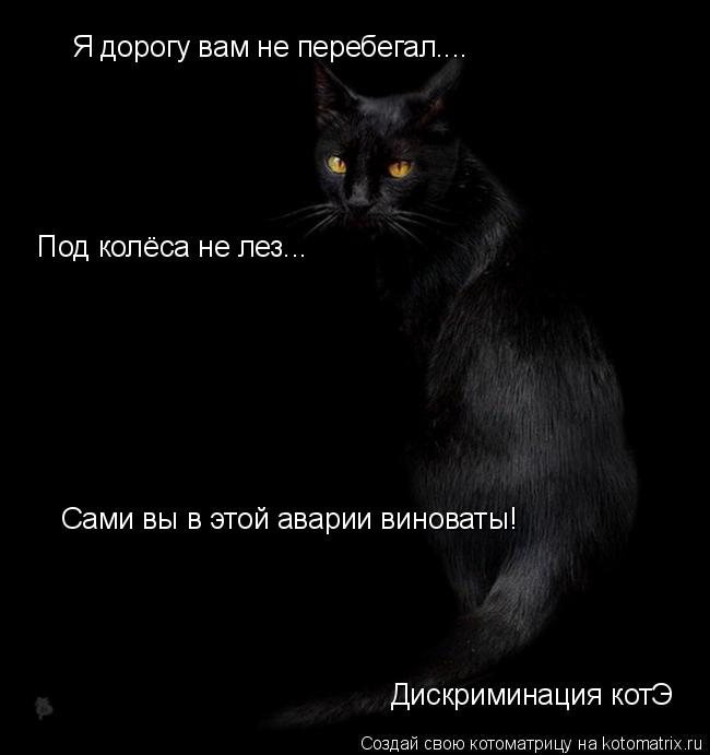 Я дорогу вам не перебегал.... Под колёса не лез... Сами вы в этой аварии виноваты! Дискриминация котЭ... Котоматрица: Я дорогу вам не перебегал.... Под колёса не лез... Сами вы в этой аварии виноваты! Дискриминация котЭ