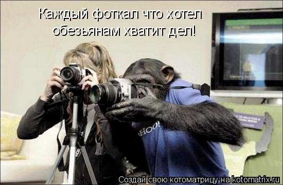 Каждый фоткал что хотел обезьянам хватит дел!... Котоматрица: Каждый фоткал что хотел обезьянам хватит дел!