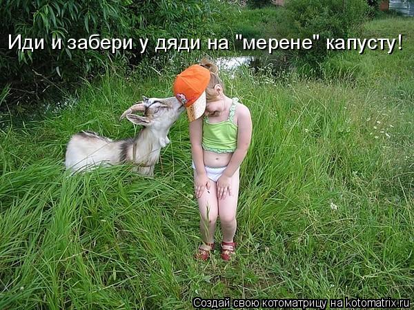 Иди и забери у дяди на "мерене" капусту!... Котоматрица: Иди и забери у дяди на "мерене" капусту!