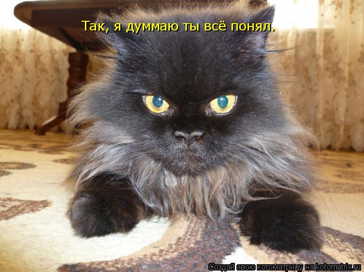 Так, я думмаю ты всё понял.... Котоматрица: Так, я думмаю ты всё понял.