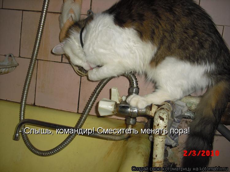 - Слышь, командир! Смеситель менять пора!... Котоматрица: - Слышь, командир! Смеситель менять пора!