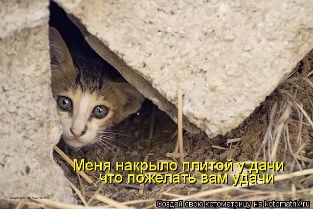 Меня накрыло плитой у дачи что пожелать вам удачи... Котоматрица: Меня накрыло плитой у дачи что пожелать вам удачи