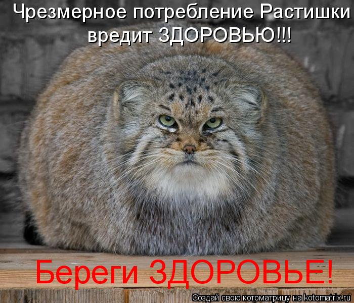 Чрезмерное потребление Растишки вредит ЗДОРОВЬЮ!!! Береги ЗДОРОВЬЕ!... Котоматрица: Чрезмерное потребление Растишки вредит ЗДОРОВЬЮ!!! Береги ЗДОРОВЬЕ!