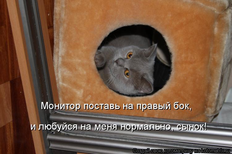 Монитор поставь на правый бок, и любуйся на меня нормально, сынок!... Котоматрица: Монитор поставь на правый бок, и любуйся на меня нормально, сынок!