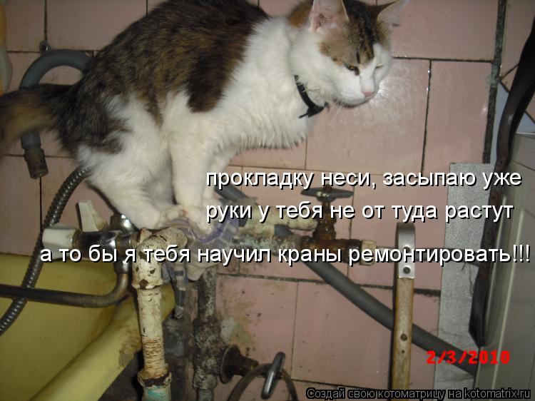 прокладку неси, засыпаю уже руки у тебя не от туда растут а то бы я тебя научил краны ремонтировать!!... Котоматрица: прокладку неси, засыпаю уже руки у тебя не от туда растут а то бы я тебя научил краны ремонтировать!!!