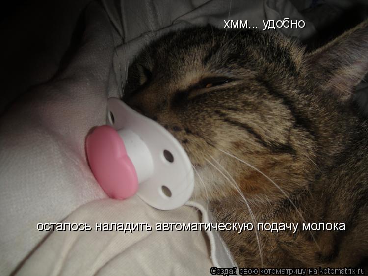 хмм... удобно осталось наладить автоматическую подачу молока... Котоматрица: хмм... удобно осталось наладить автоматическую подачу молока