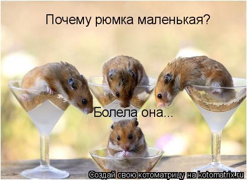Почему рюмка маленькая? Болела она...... Котоматрица: Почему рюмка маленькая? Болела она...
