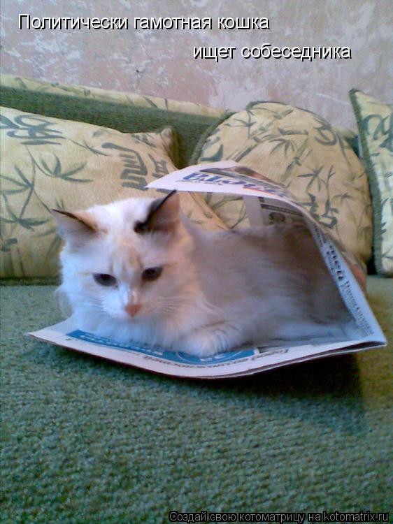 Политически гамотная кошка ищет собеседника... Котоматрица: Политически гамотная кошка ищет собеседника