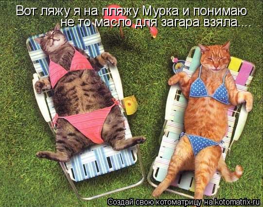 Вот ляжу я на пляжу Мурка и понимаю не то масло для загара взяла....... Котоматрица: Вот ляжу я на пляжу Мурка и понимаю не то масло для загара взяла....