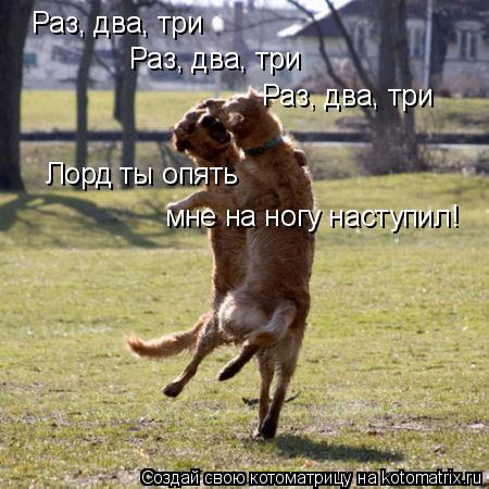 Раз, два, три Раз, два, три Раз, два, три Лорд ты опять мне на ногу наступил!... Котоматрица: Раз, два, три Раз, два, три Раз, два, три Лорд ты опять мне на ногу наступил!