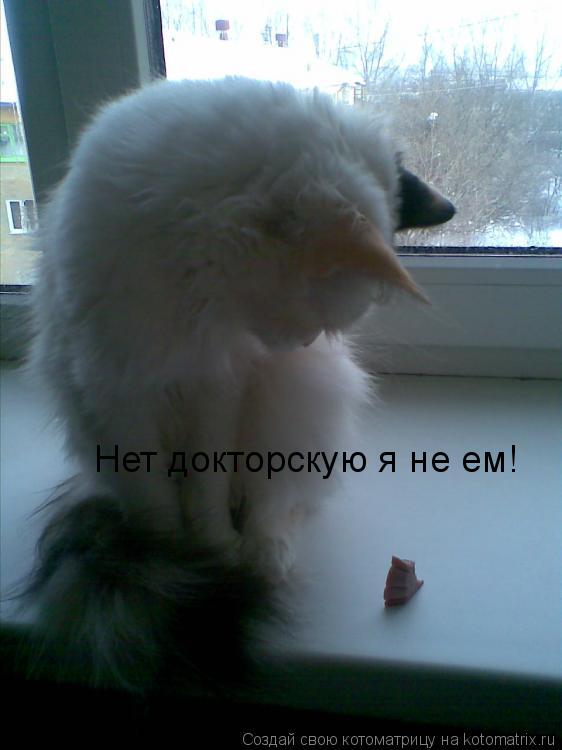 Нет докторскую я не ем!... Котоматрица: Нет докторскую я не ем!