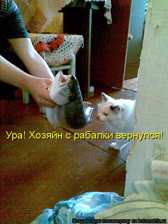 Ура! Хозяйн с рабалки вернулся!... Котоматрица: Ура! Хозяйн с рабалки вернулся!
